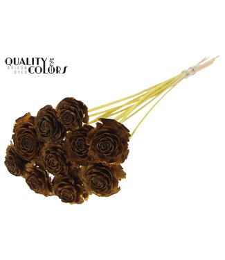 QC Cedar Rose on stem Yellow | Per 50 stuks