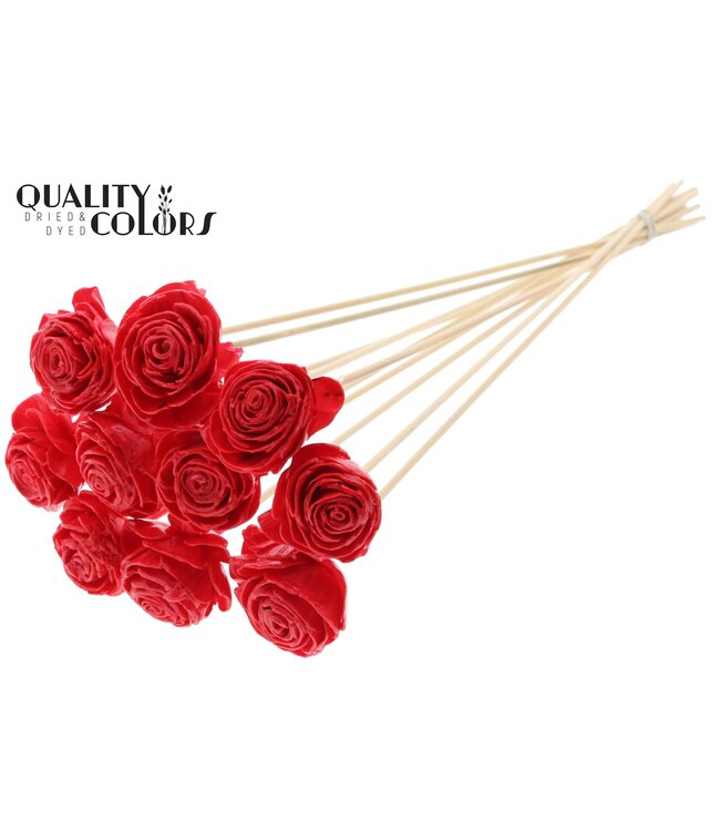 Shola Beauty Rose 6cm on stem Wax Red ( x 50 )