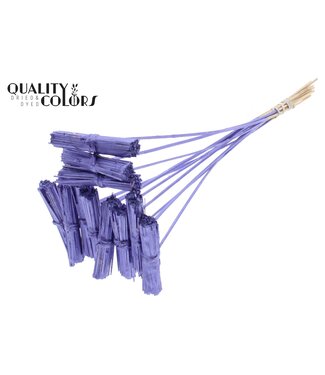 QC Kore Posy on stem Metallic Purple | Per 50 stuks