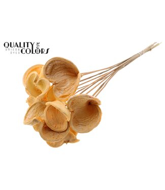 QC Badam on stem Intense Salmon | Per 50 stuks