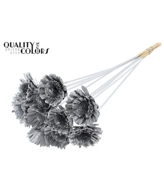 QC Shola Daisy Sunflower 6cm on stem Silver ( x 50 )