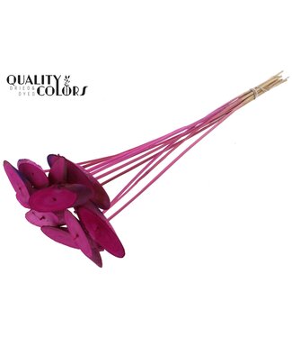 QC Wood oval Slice on stem Lilac | Per 50 stuks