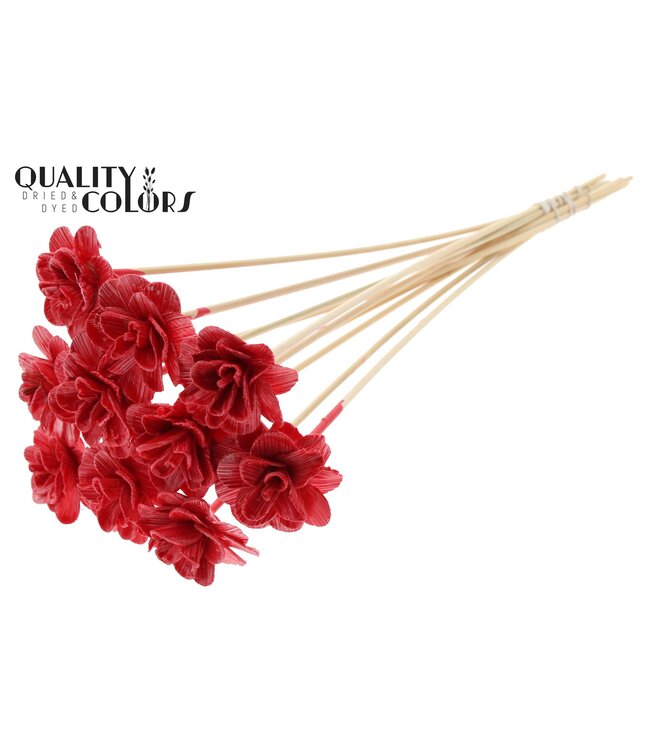 Beetal Rose 6cm on stem Wax Red ( x 50 )