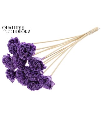 QC Shola Karnish Flower 6cm on stem Wax Milka | Per 50 stuks