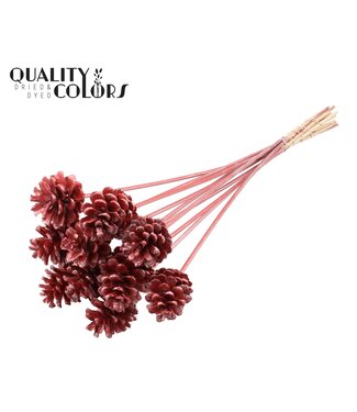 QC Pine cone 5-7cm on stem Metallic Red | Per 50 stuks