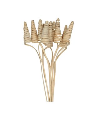 4A Bijsteker 50 centimeter Cane Cone | Per 10 stuks