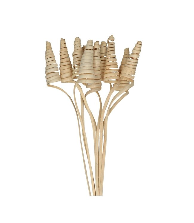 Bijsteker 50cm Cane Cone ( x 10 )