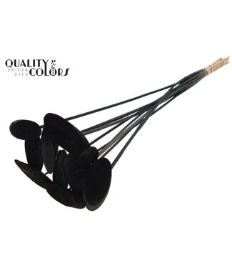 QC Wood oval Slice on stem Black ( x 50 )