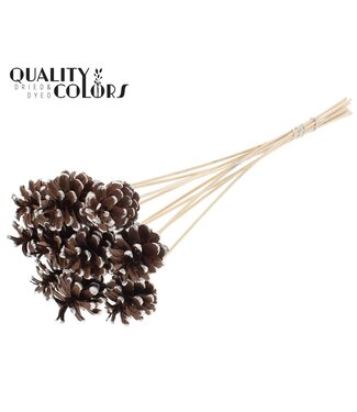 QC Pine cone 5-7cm on stem Platina Tipped | Per 50 stuks