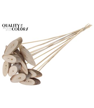 QC Wood oval Slice on stem Natural ( x 50 )