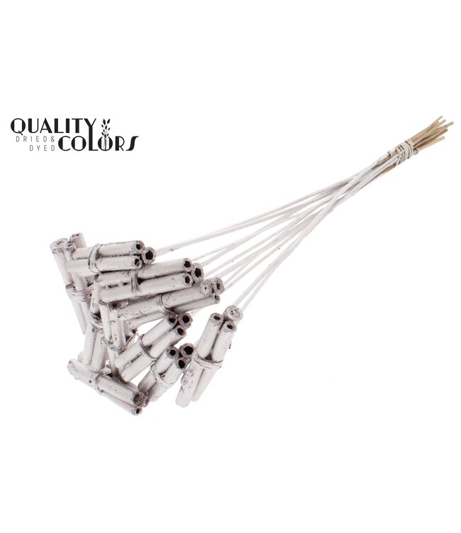 Jute Stick Posy on stem Champagne ( x 50 )
