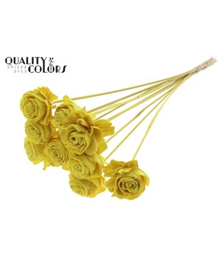 QC Shola Beauty Rose 6cm on stem Yellow ( x 50 )