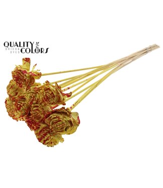 QC Shola Beauty Rose 6cm on stem Splashed Yellow/Red ( x 50 )