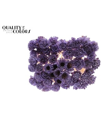 QC Shola Flower Mix on stem Milka | Per 50 stuks