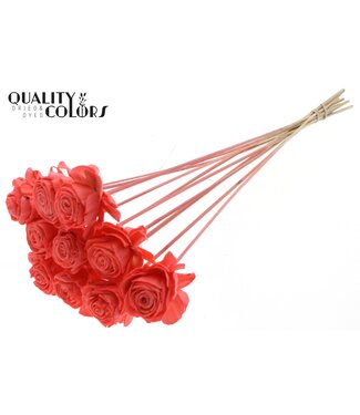 QC Shola Beauty Rose 6cm on stem Coral ( x 50 )