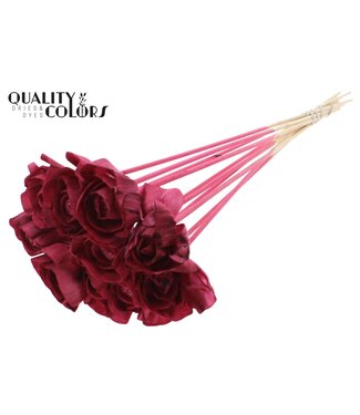 QC Shola Dear Holly 6cm on stem Burgundy ( x 50 )