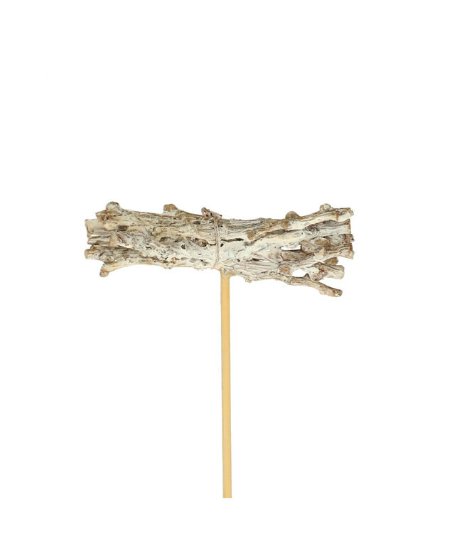 Bijsteker 50cm Botay 8cm ( x 25 )