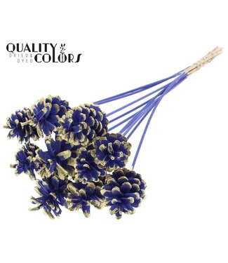 QC Pine cone 5-7cm on stem Milka + Gold Tipped | Per 50 stuks