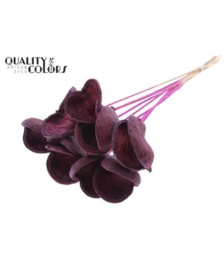 QC Badam on stem Lilac | Per 50 stuks