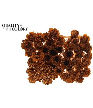 QC Shola Flower Mix on stem Terracotta | Per 50 stuks