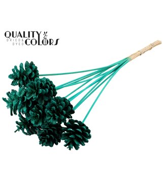 QC Pine cone 5-7cm on stem Intense Turquoise | Per 50 stuks