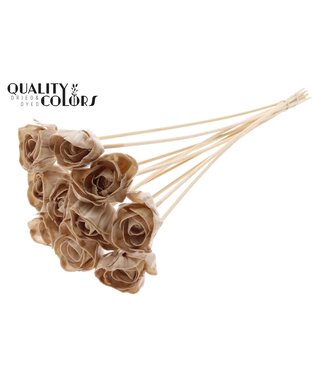 QC Shola Dear Holly 6cm on stem Wax Beige ( x 50 )