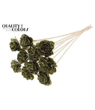 QC Shola Dhaliya 6cm on stem Wax Olive | Per 50 stuks