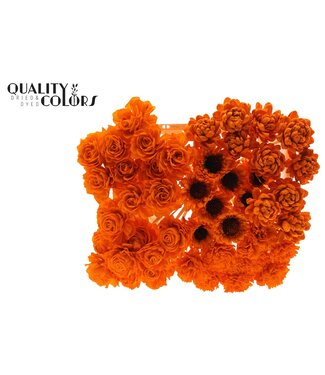 QC Shola Flower Mix on stem Orange | Per 50 stuks