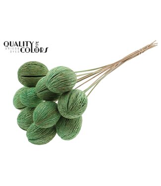 QC Mintola Ball on stem Intense Mint Green ( x 50 )
