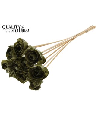 QC Shola Dear Holly 6cm on stem Wax Olive | Per 50 stuks