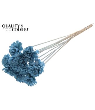 QC Shola Karnish Flower 6cm on stem Light Blue ( x 50 )