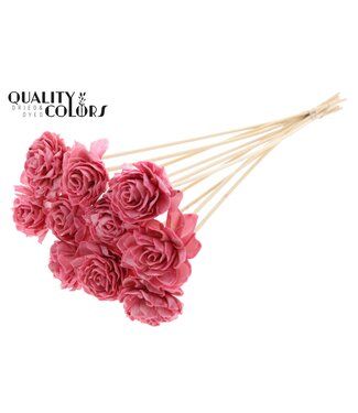 QC Shola Dhaliya 6cm on stem Wax Light Pink | Per 50 stuks