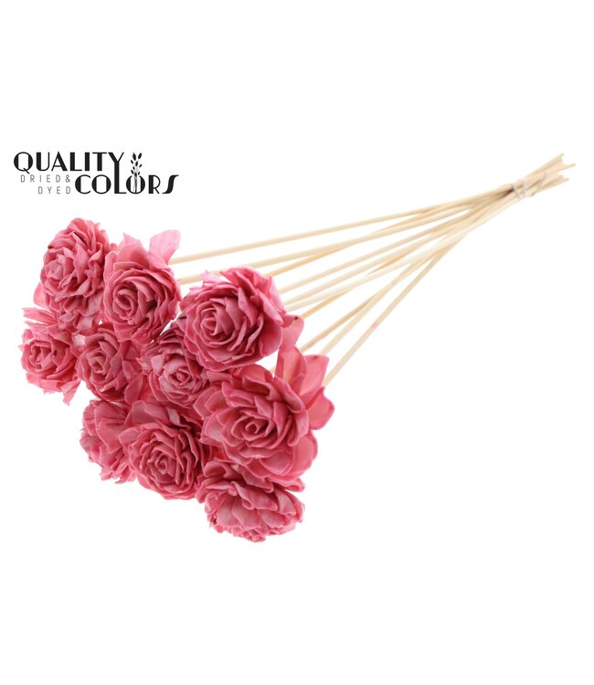 Shola Dhaliya 6cm on stem Wax Light Pink ( x 50 )