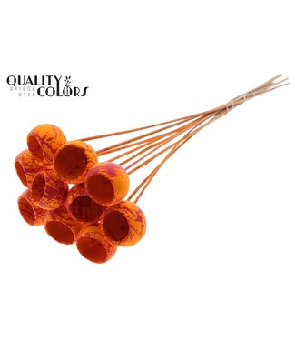 QC Bell Cup on stem Splashed Orange/Red ( x 50 )