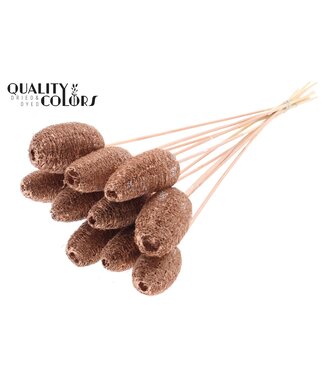 QC Luffa Mini on stem Copper | Per 50 stuks