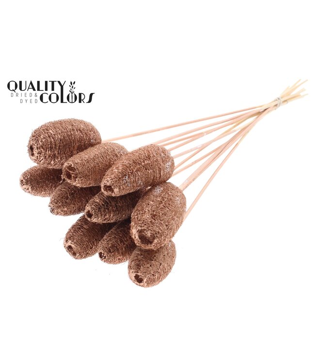 Luffa Mini on stem Copper ( x 50 )