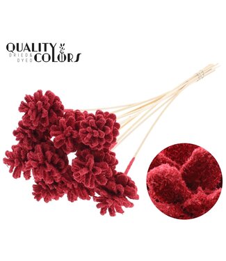 QC Pine cone 5-7cm on stem Sawdust Red | Per 50 stuks