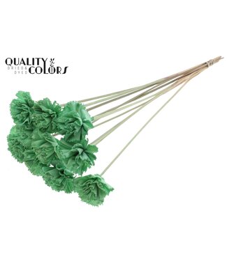 QC Shola Karnish Flower 6cm on stem Mint Green | Per 50 stuks