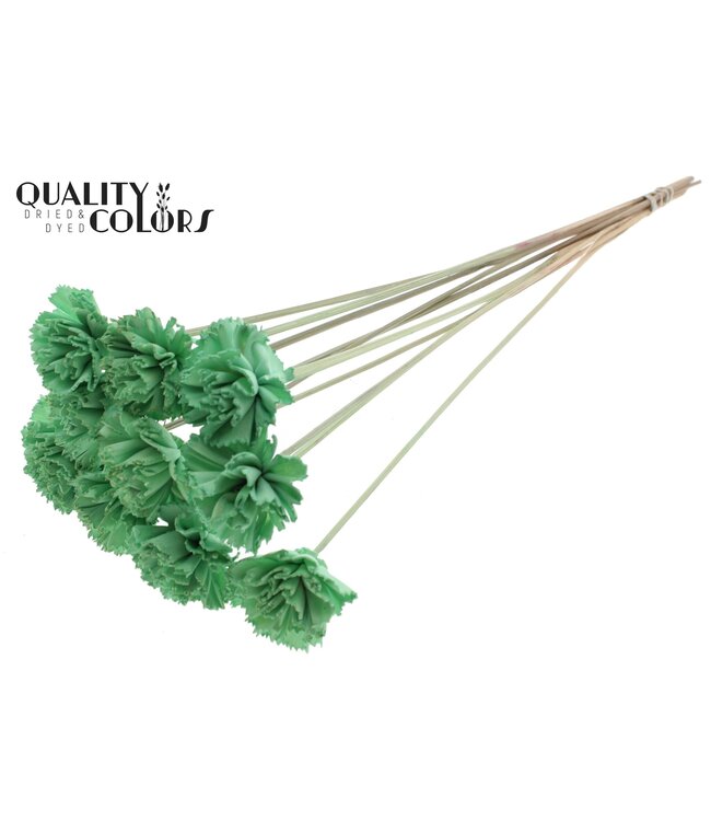 Shola Karnish Flower 6cm on stem Mint Green ( x 50 )