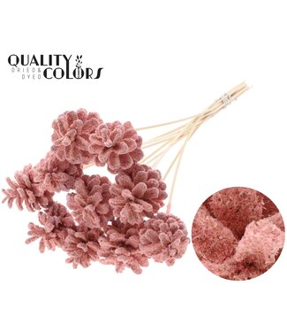 QC Pine cone 5-7cm on stem Sawdust Light Pink | Per 50 stuks