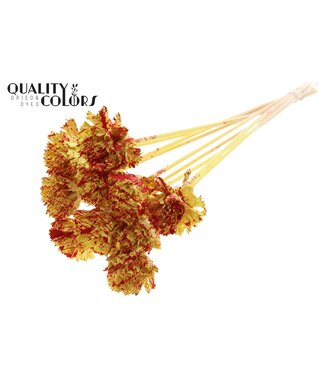QC Shola Karnish Flower 6cm on stem Splashed Yellow/Red ( x 50 )