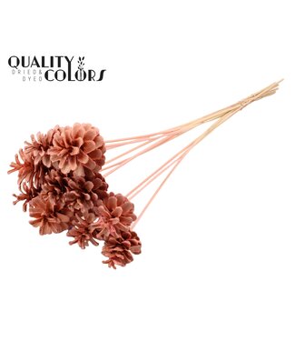 QC Pine cone 5-7cm on stem Intense Pink | Per 50 stuks