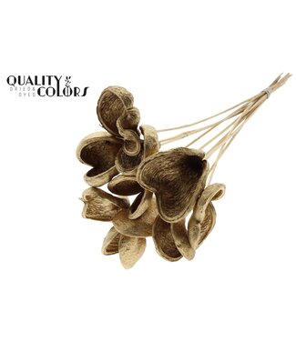 QC Badam on stem Antique Gold | Per 50 stuks