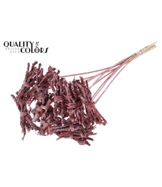 QC Coco Rose Posy on stem Metallic Red | Per 50 stuks