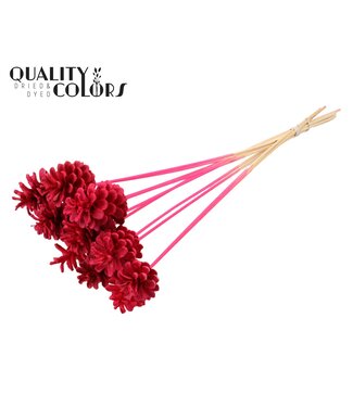 QC Pine cone 5-7cm on stem Intense Cerise | Per 50 stuks