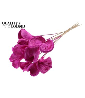QC Badam on stem Intense Lilac ( x 50 )