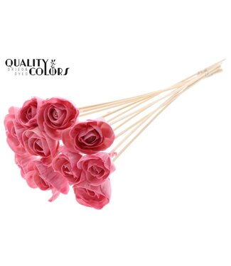 QC Shola Dear Holly 6cm on stem Wax Light Pink ( x 50 )