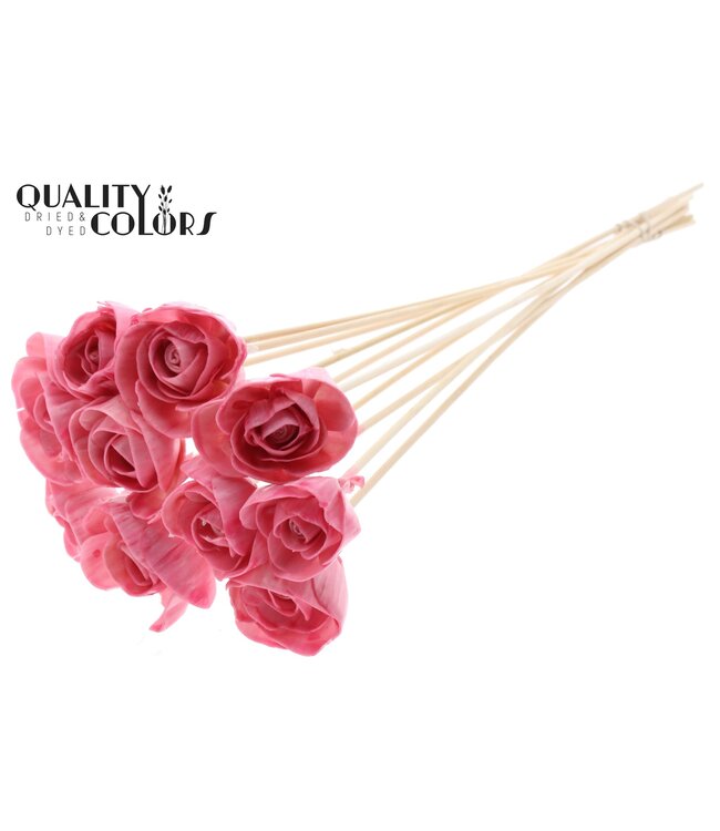 Shola Dear Holly 6cm on stem Wax Light Pink ( x 50 )