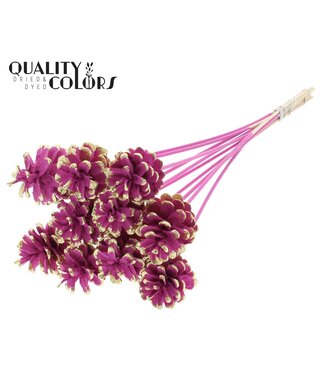 QC Pine cone 5-7cm on stem Cerise + Gold Tipped | Per 50 stuks