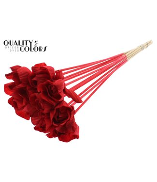 QC Shola Dear Holly 6cm on stem Red ( x 50 )